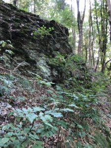 024E2009-47FF-43F5-A7AD-E0C97310F3E2