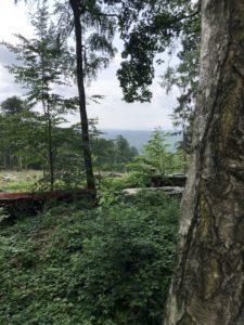 AA7DEF53-92E5-45DD-B229-996B8E776AF9