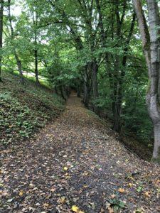 C7527941-335A-4289-A226-168FCC5EF19F