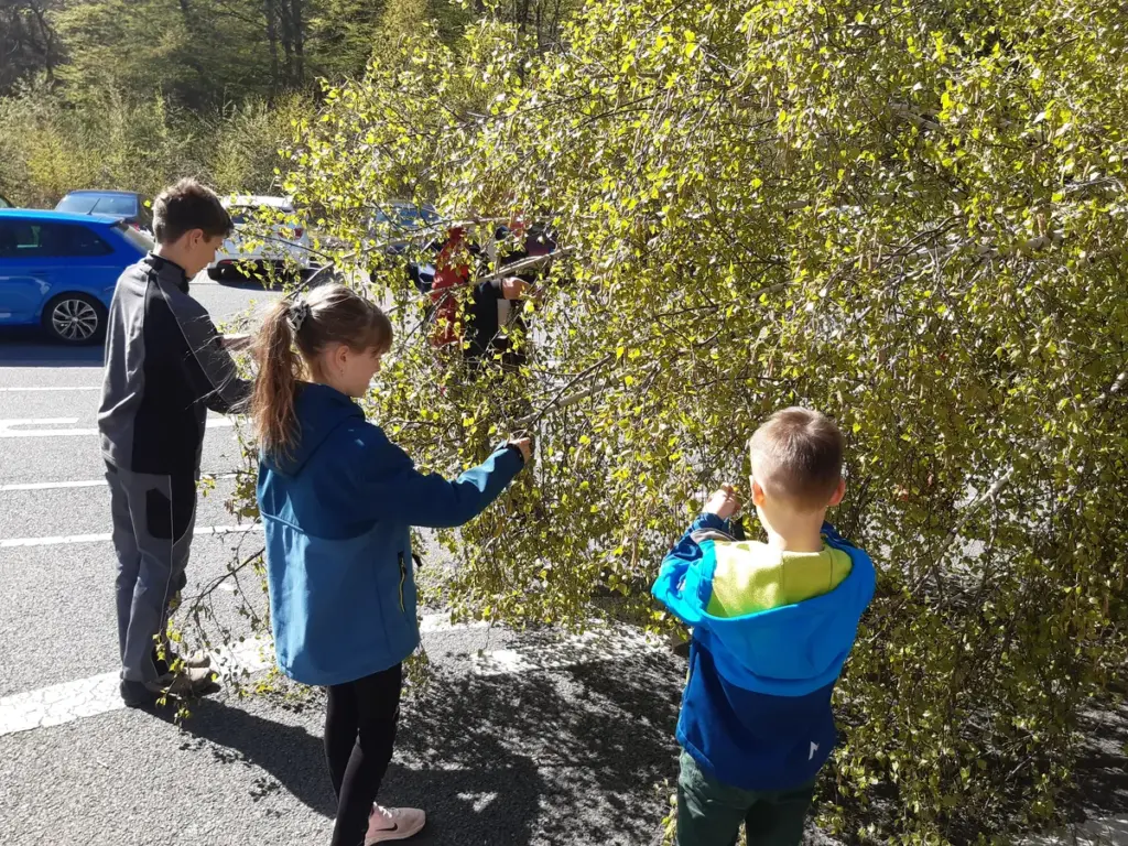Kinder und Erwachsene bei einer gemeinsamen Aktion im Freien