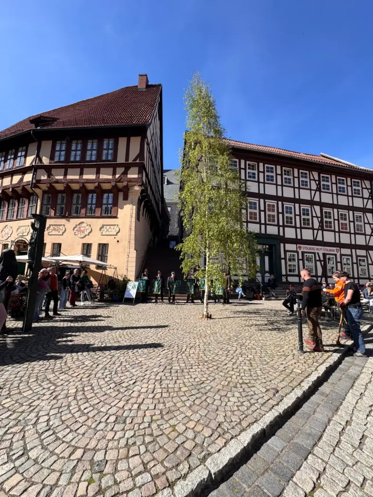 Der Maibaum kommt – Aufnahme 2
