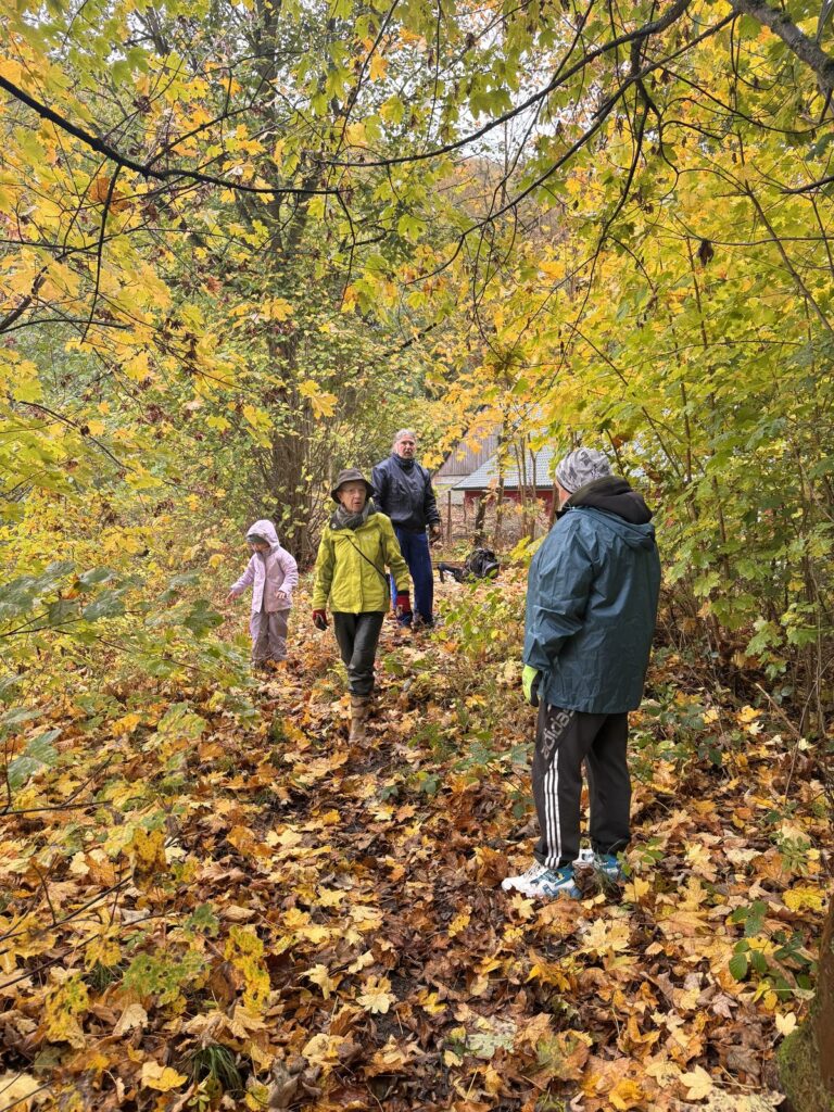 Mitglieder des Heimatvereins erkunden den zukünftigen Standort der Teichblick-Raufe