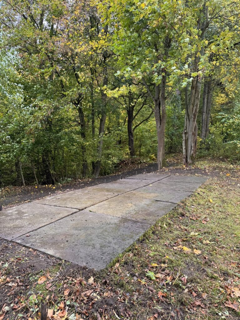 Freigeräumter Zugang zur zukünftigen Teichblick-Raufe